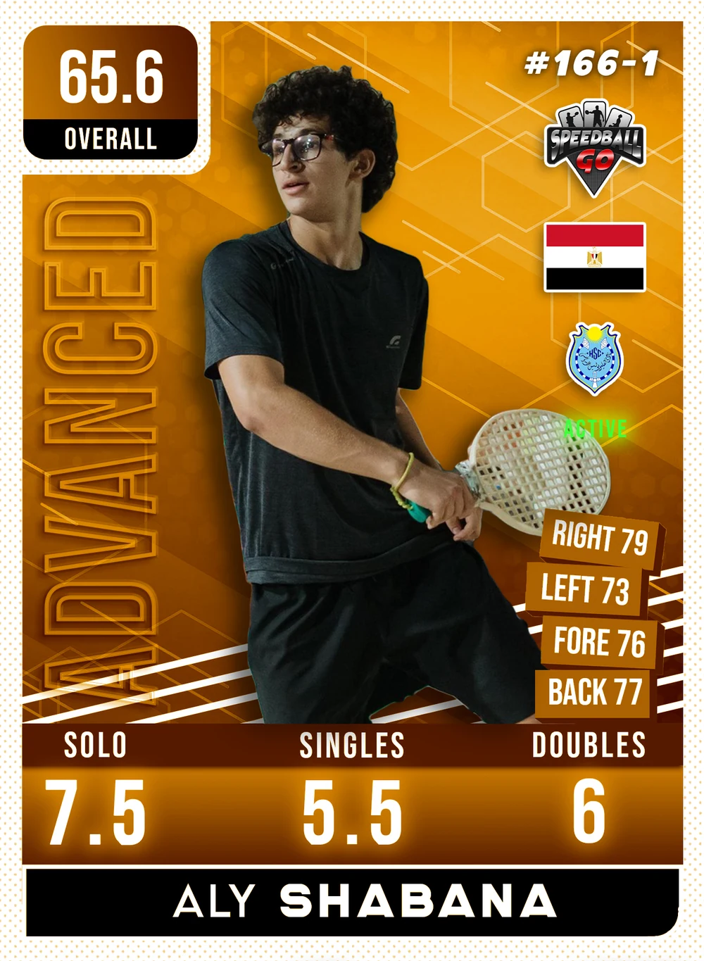 Aly SHABANA v1.1