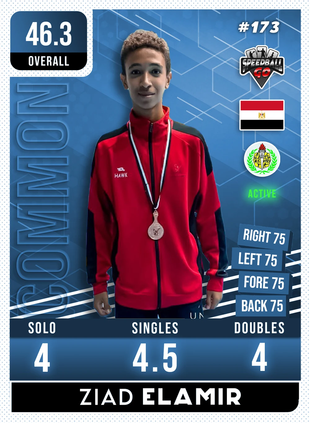 Ziad EL-AMIR