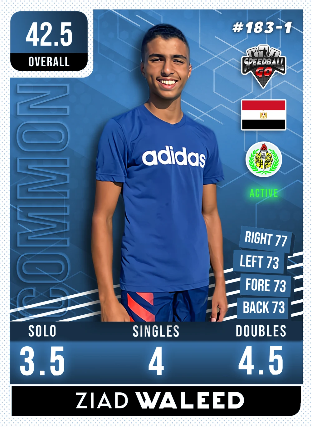 Ziad WALEED v1.1