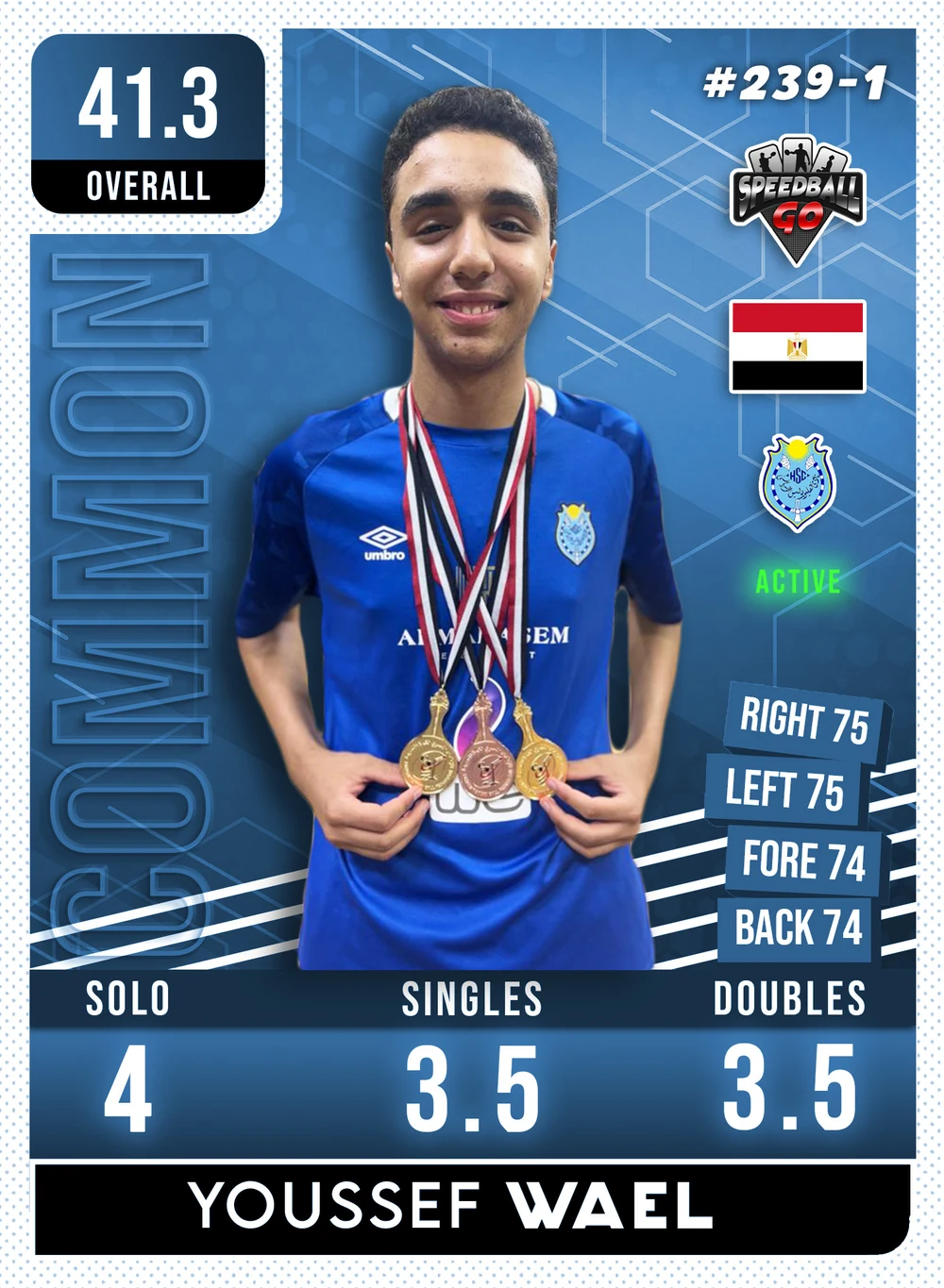 Youssef WAEL v1.1