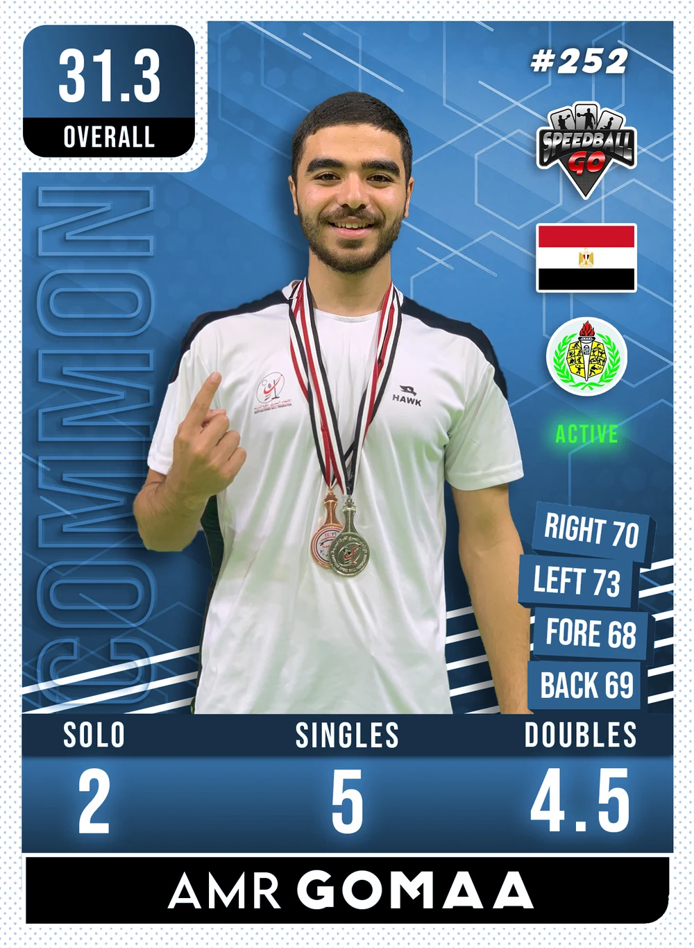 Amr GOMAA