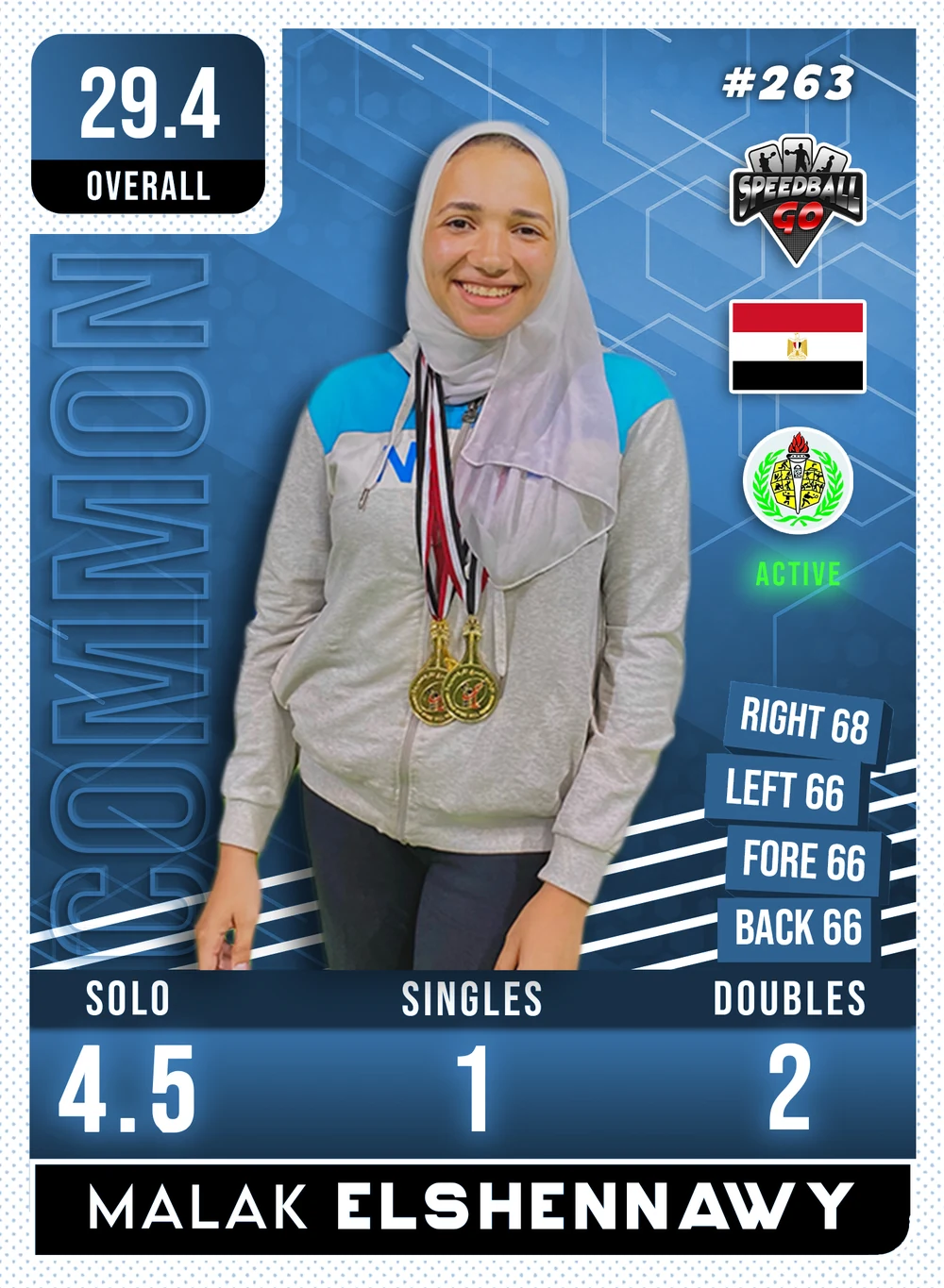 Malak ELSHENNAWY
