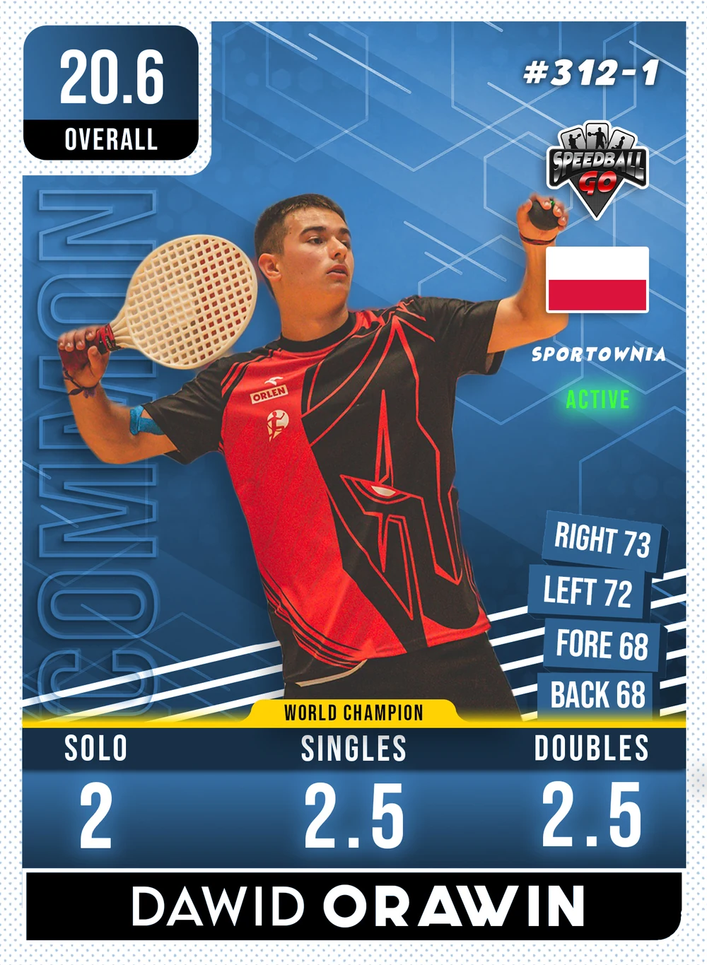 DAWID ORAWIN v1.1
