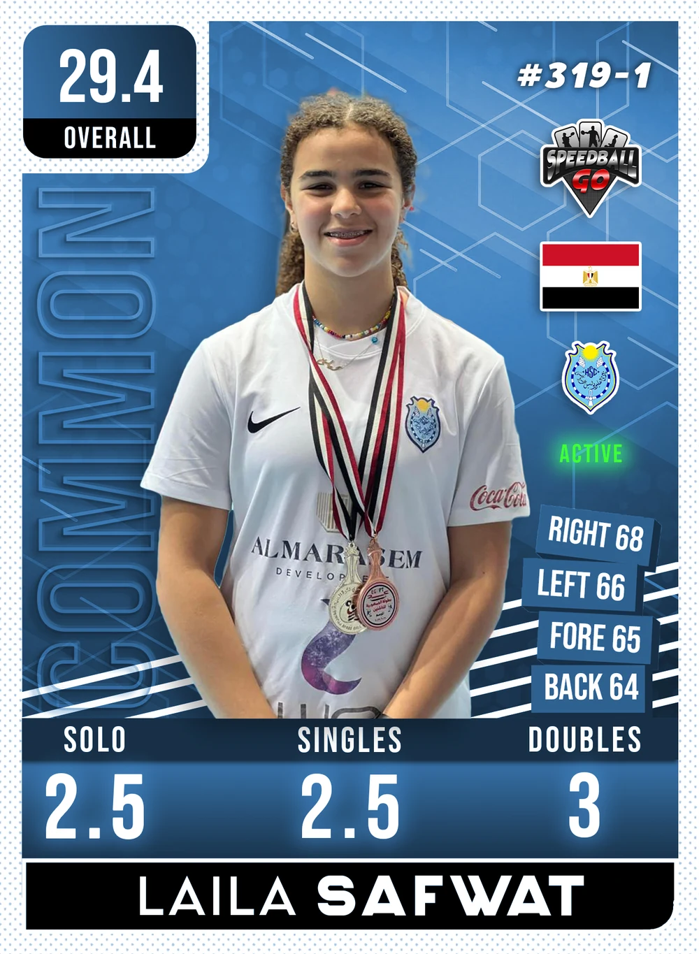 Laila SAFWAT v1.1