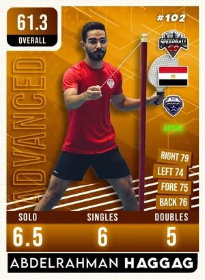 Abdelrahman HAGGAG