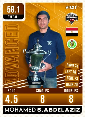 Mohamed S.ABDELAZIZ