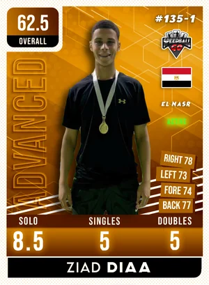 Ziad DIAA v1.1