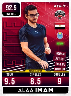 Alaa Imam v1.1