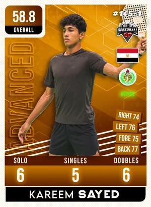 Karim SAYED v1.1