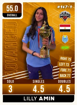 Lilly AMIN v1.1