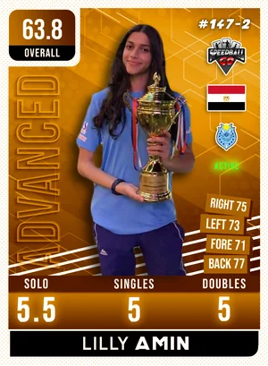 Lilly AMIN v1.2
