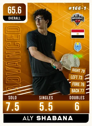 Aly SHABANA v1.1