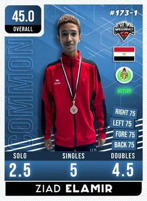 Ziad EL-AMIR v1.1