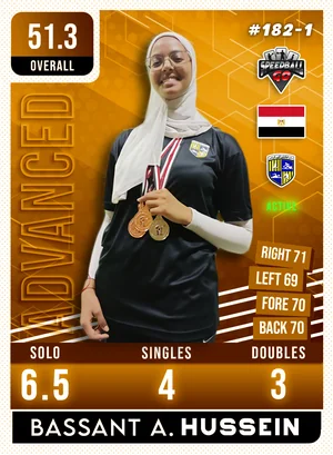 Bassant A.HUSSEIN v1.1