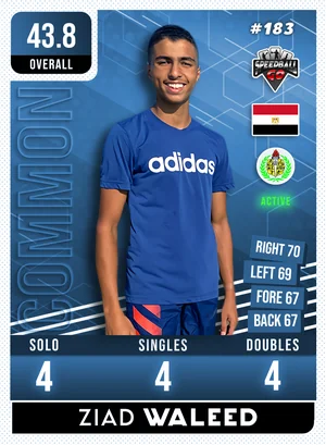 Ziad WALEED