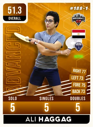 Ali HAGGAG v1.1