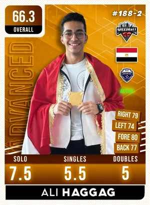 Ali Haggag v1.2