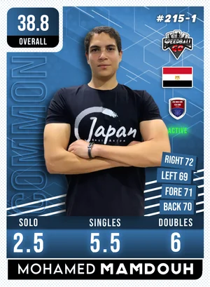 Mohamed MAMDOUH v1.1