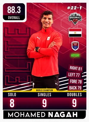 Mohamed NAGAH v1.1