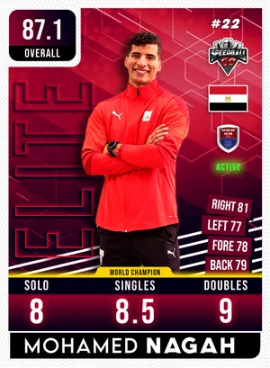 Mohamed NAGAH