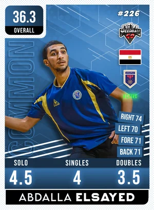 Abdallah M.ELSAYED