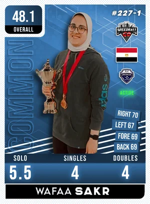 Wafaa H.SAKR v1.1