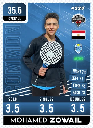 Mohamed ZOWAIL