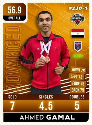 Ahmed GAMAL v1.1