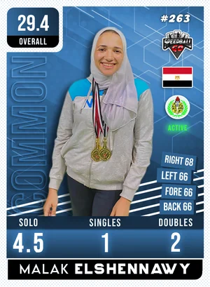 Malak ELSHENNAWY