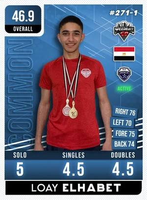 Loay  ELHABET v1.1