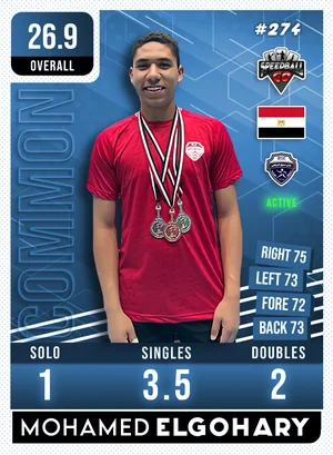 Mohamed ELGOHARY