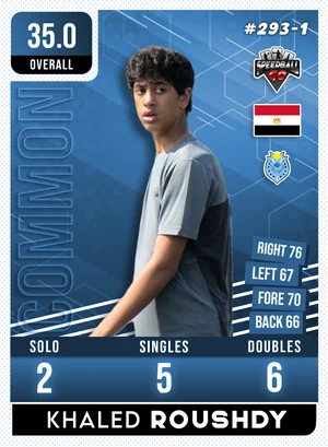 Khaled ROUSHDY v1.1