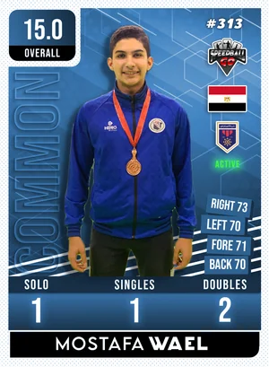Mostafa WAEL