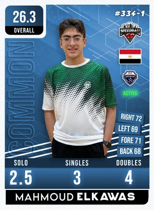 Mahmoud ELKAWAS v1.1