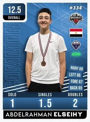 Abdelrahman El Seihy