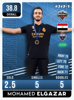 Mohamed ElGAZAR v1.1