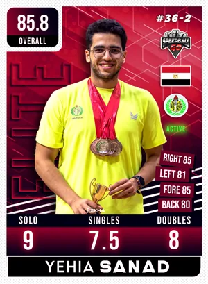 Yehia Sanad v1.2