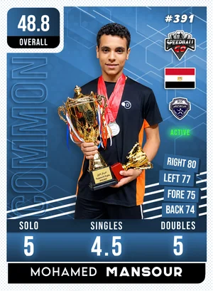 Mohamed MANSOUR