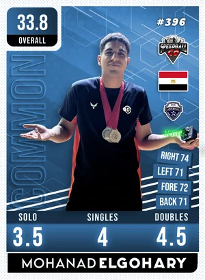 Mohanad ElGohary