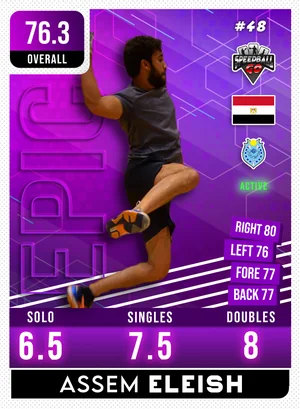 Assem ELEISH