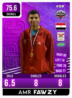 Amr FAWZY