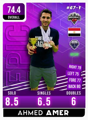 Ahmed AMER v1.1
