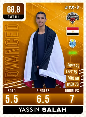 Yassin SALAH v1.1