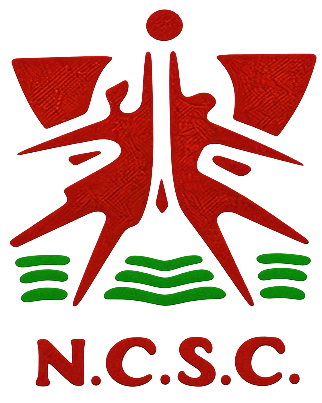 Nasr City logo